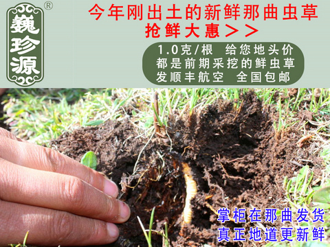 ���r���x�Ĳ����^�����r�x����Ρ��Դ1��/�����r�������x�Ĳ��^���������ڳ����������^�����r�x��