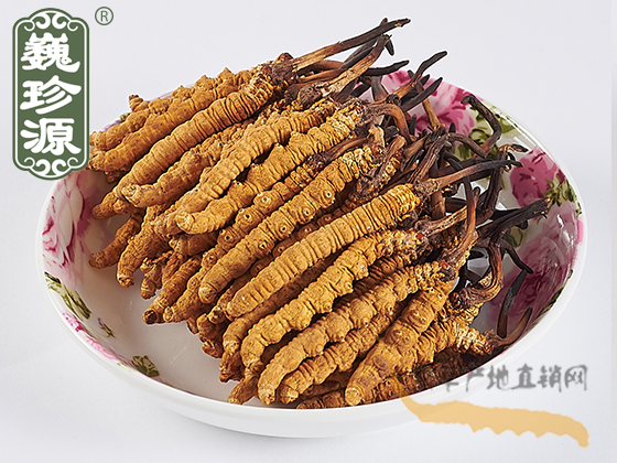 ���x�Ĳ݈DƬ���x�ݮa(ch��n)��ֱ�N�W(w��ng)���������x�Ĳ݈DƬ��Ρ��Դ���x�Ĳݵ������x����Ƭ�c�x�݈DƬ