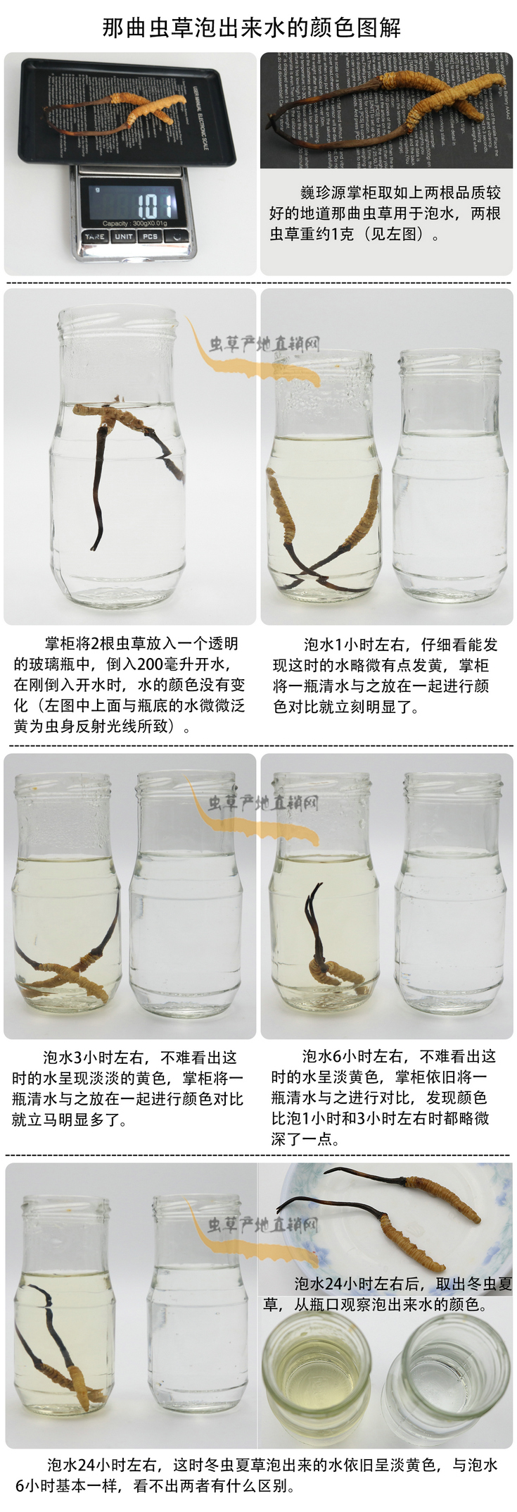 ���x�Ĳ��ݳ���ˮ���ɫ�����x�Ĳ��ݳ�����ˮ��ʲô�ɫ�����x�Ĳ���ˮ���ɫ��׃�����������x�����^ˮ��ˮ׃��ʲô�ɫ